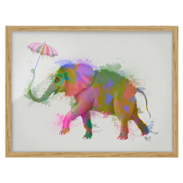 Obrazy w ramie do łazienki Rainbow Splash Elephant