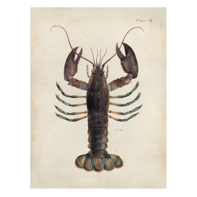 Retro obrazy Ilustracja homara w stylu vintage