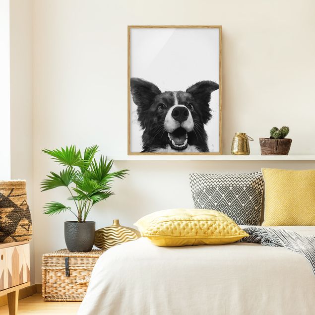 Pies obraz Ilustracja pies Border Collie czarno-biały malarstwo