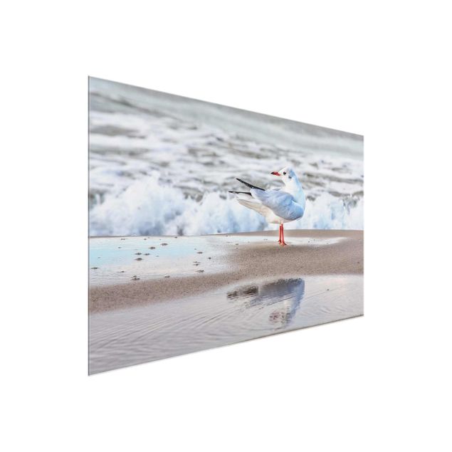 Obrazy na szkle zwierzęta Mewa na plaży przed morzem
