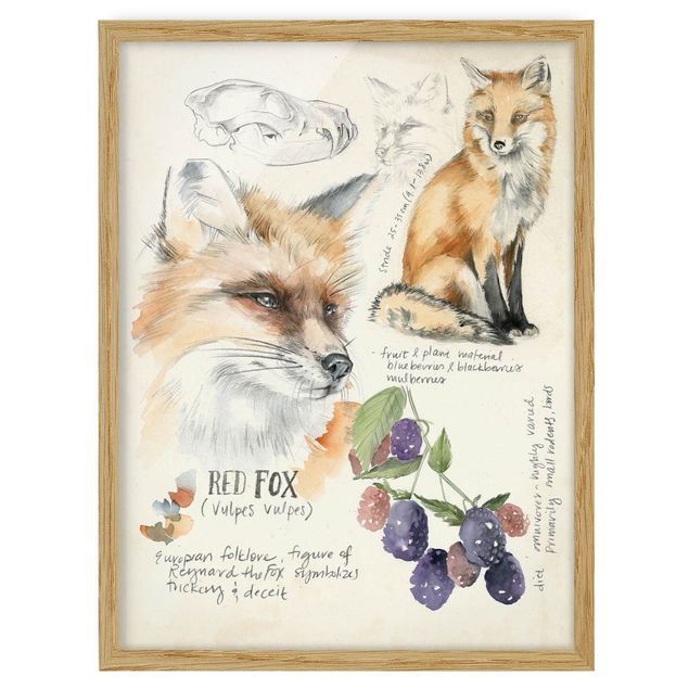 Obrazy w ramie do kuchni Dziennik Dzikiej Przyrody - Fox