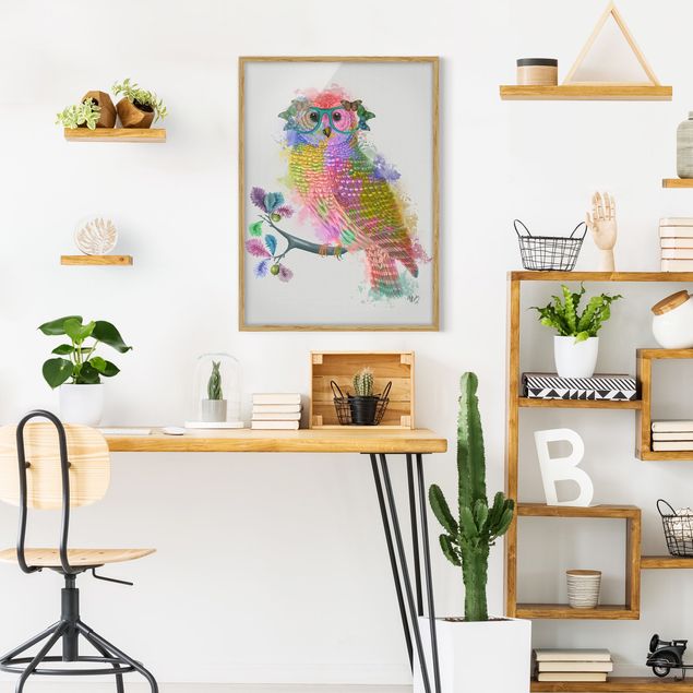Obrazy w ramie zwierzęta Rainbow Splash Owl