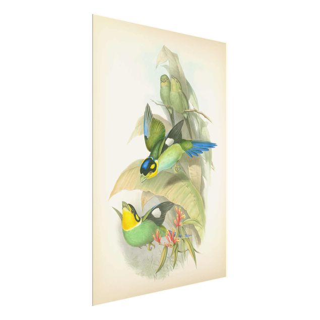 Obrazy zwierzęta Ilustracja w stylu vintage - ptaki tropikalne