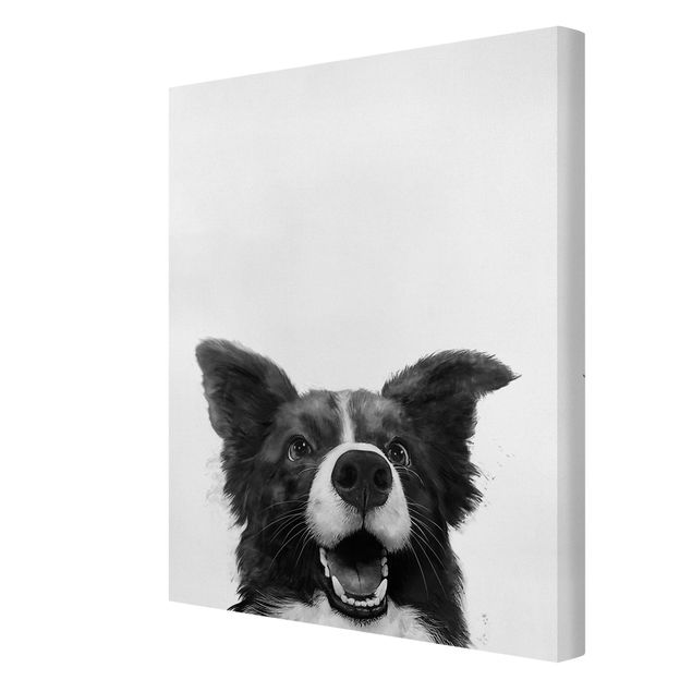 Obrazy pies Ilustracja pies Border Collie czarno-biały malarstwo