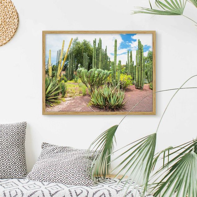 Obrazy w ramie artystyczne Krajobraz z kaktusami