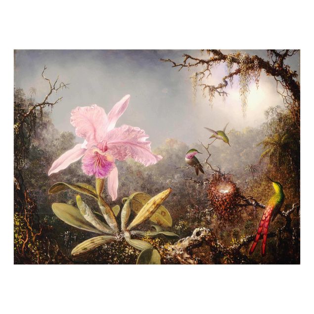 Obrazy na szkle zwierzęta Martin Johnson Heade - Orchidea i trzy kolibry