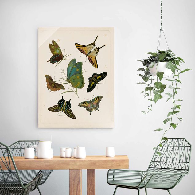 Obrazy do salonu nowoczesne Ilustracja w stylu vintage Motyle egzotyczne