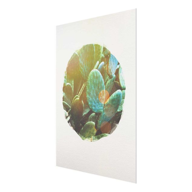 Obrazy z motywem kwiatowym Akwarele - Kaktus z opuncji figowej