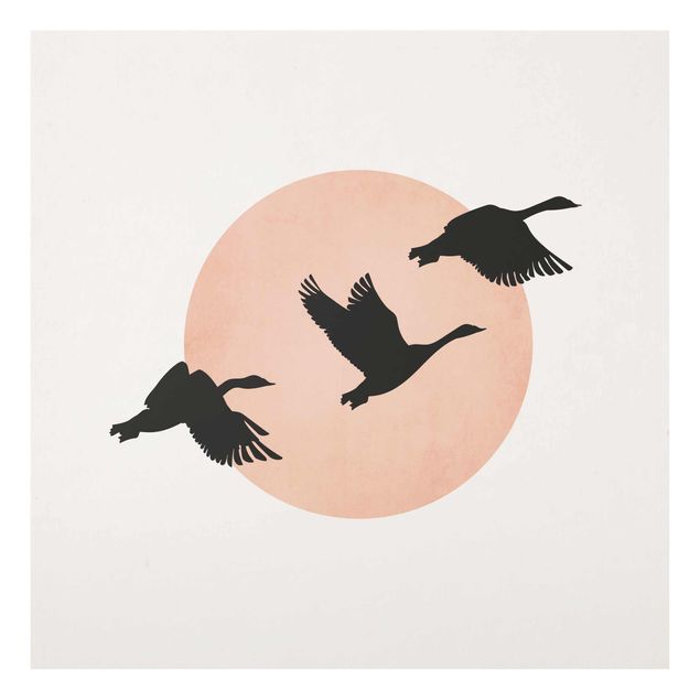 Obrazy na szkle zwierzęta Ptaki na tle różowego słońca III