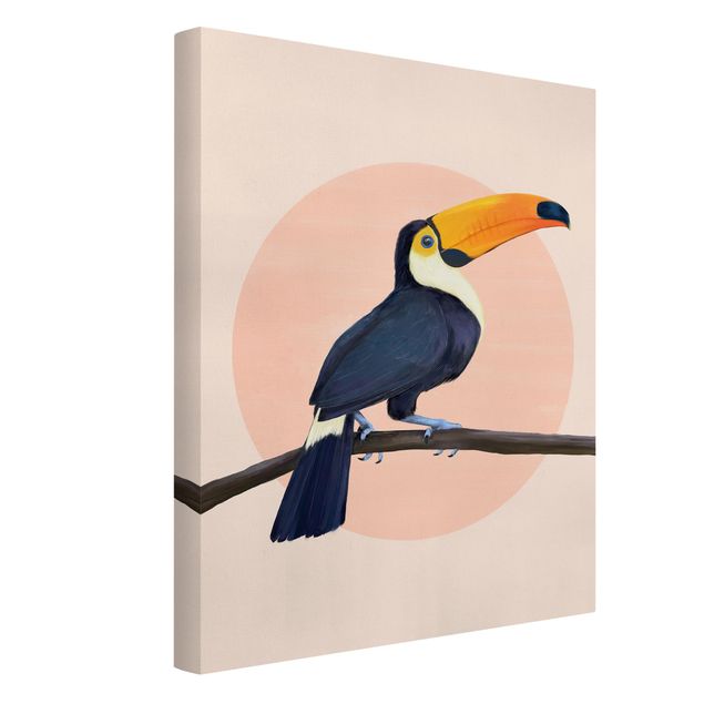 Obrazy zwierzęta Ilustracja ptak tukan malarstwo pastelowe