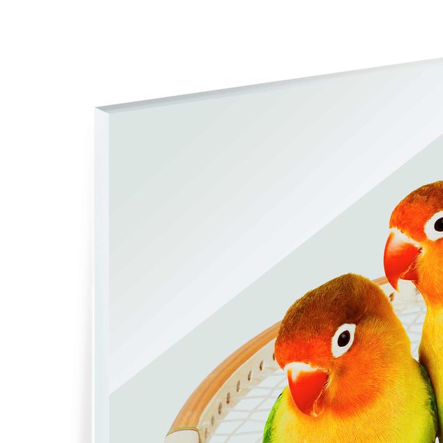 Obrazy zwierzęta Tenis z ptakami