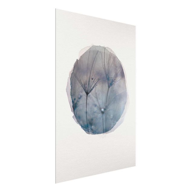 Nowoczesne obrazy do salonu Akwarele - Niebieskie pióra w deszczu