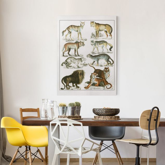 Obrazy do salonu nowoczesne Tablica edukacyjna w stylu vintage Lew, tygrys i szakal