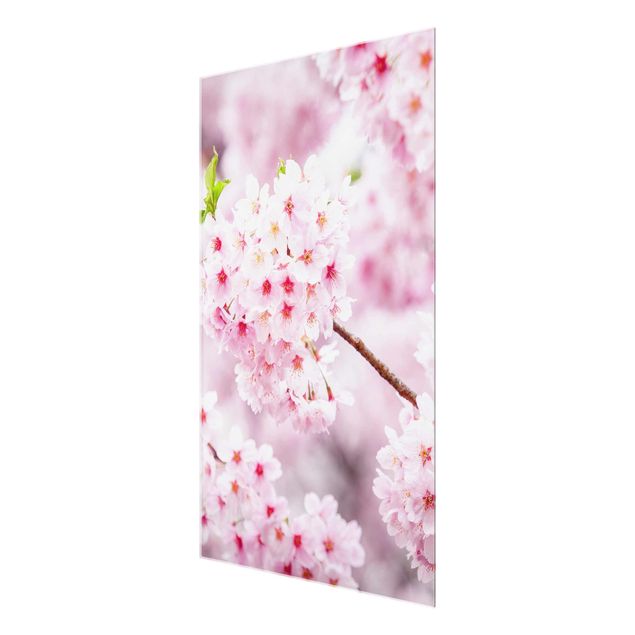 Nowoczesne obrazy Japońskie kwiaty wiśni
