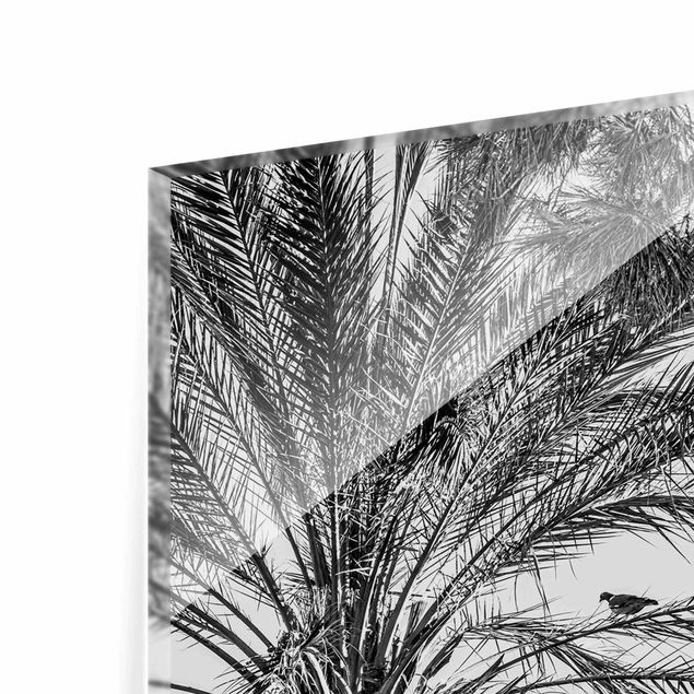 Obrazki czarno białe Palmy o zachodzie słońca, czarno-białe