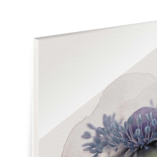 Obrazy Akwarele - Anemone in Purple