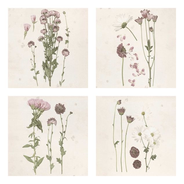 Obrazy vintage Herbarium w kolorze różowym Zestaw I