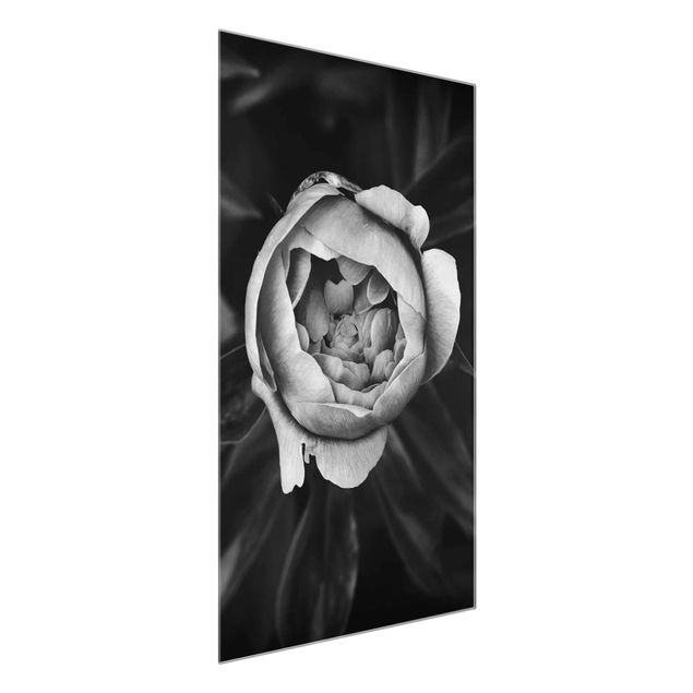 Obrazy na szkle portret Kwiat piwonii na tle liści czarno-biały