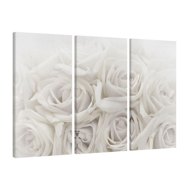 Obrazy nowoczesne Białe róże