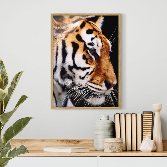 Obrazy w ramie do korytarzu Tiger Beauty