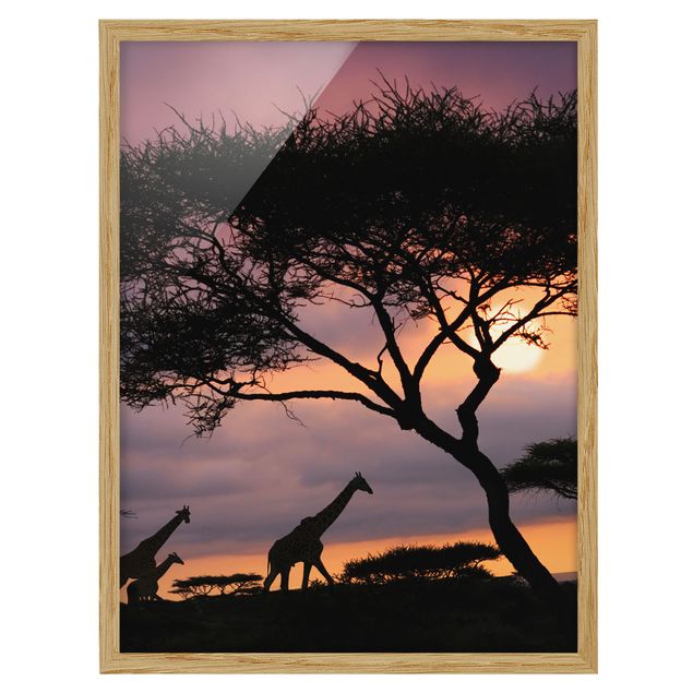 Obrazy w ramie do korytarzu Safari w Afryce
