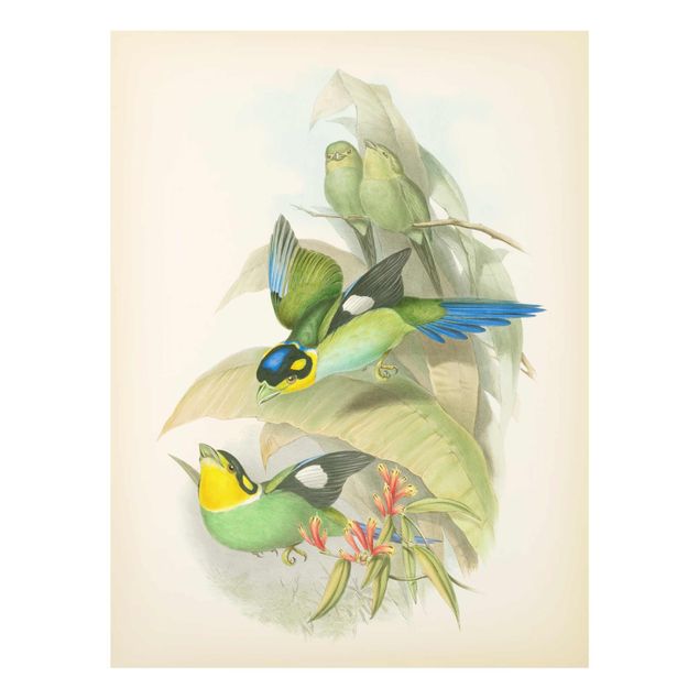 Obrazy vintage Ilustracja w stylu vintage - ptaki tropikalne