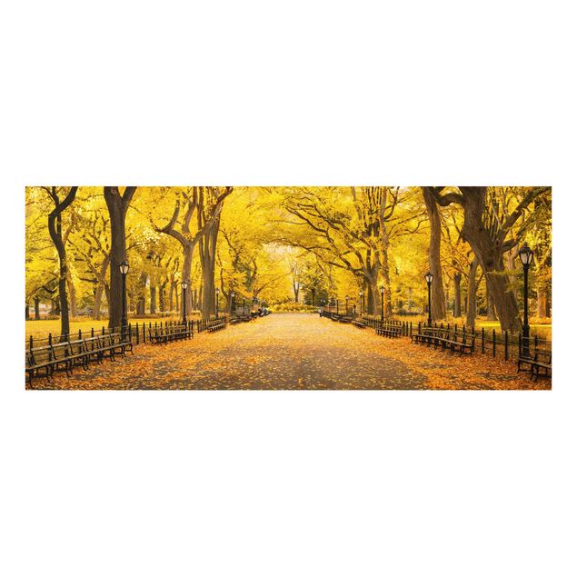 Obrazy do salonu Jesień w Central Parku