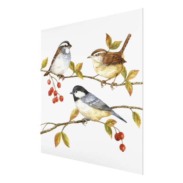 Obrazy zwierzęta Ptaki i jagody - sikorki