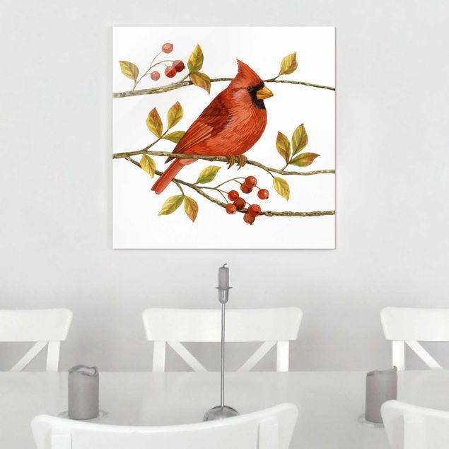 Obrazy na szkle kwadrat Ptaki i jagody - Czerwony kardynał
