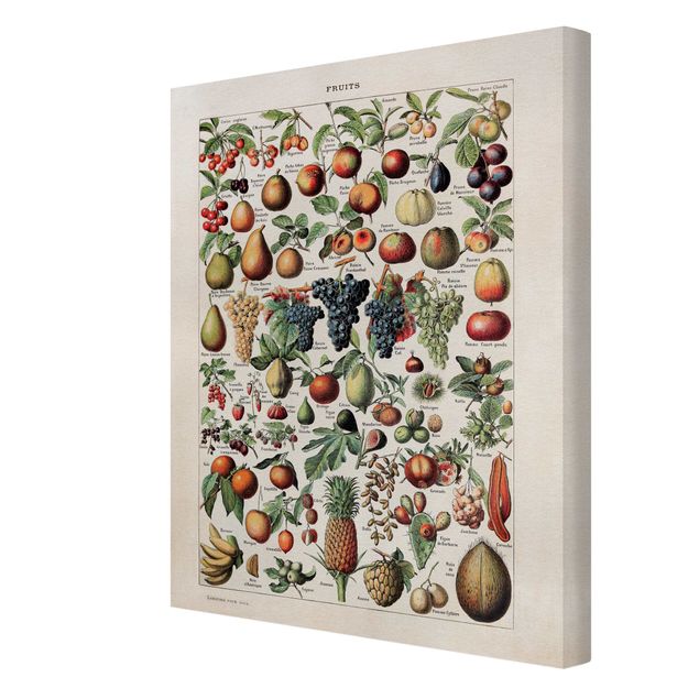 Obrazy z motywem kwiatowym Tablica edukacyjna w stylu vintage Owoce