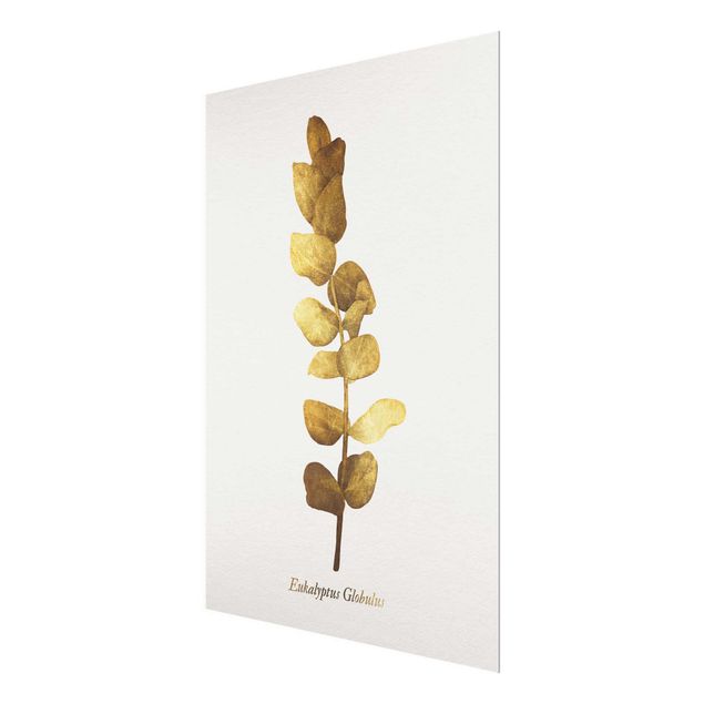 Obrazy nowoczesny Złoto - Eukaliptus