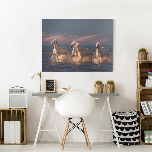 Obrazy nowoczesne Dzikie konie w Camargue