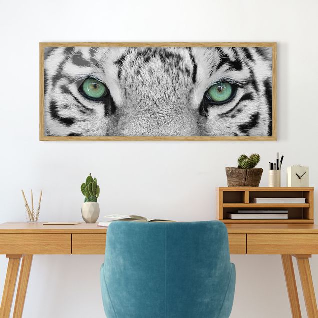 Obrazy w ramie do korytarzu Biały tygrys