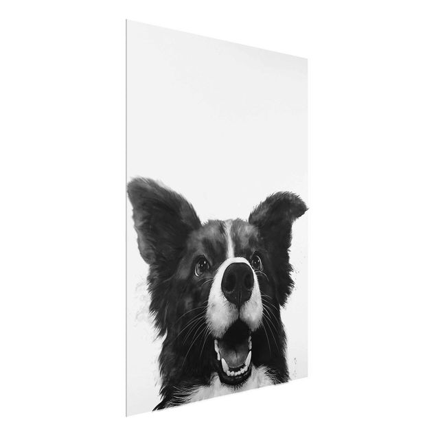 Obrazy na szkle artyści Ilustracja pies Border Collie czarno-biały malarstwo