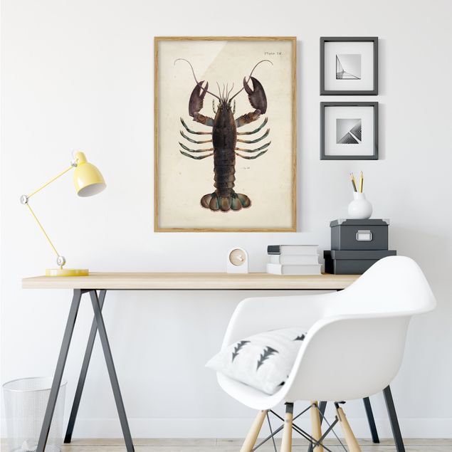 Obrazy w ramie do korytarzu Ilustracja homara w stylu vintage