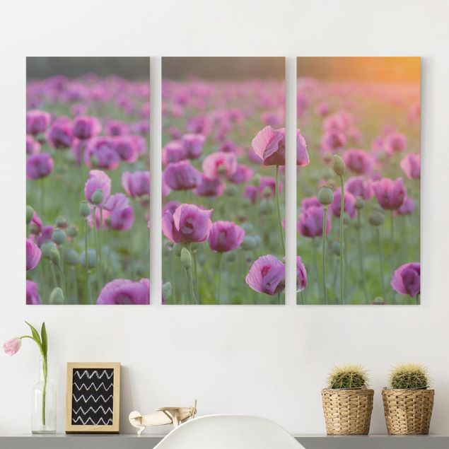 Obrazy maki Fioletowa łąka z makiem opium wiosną