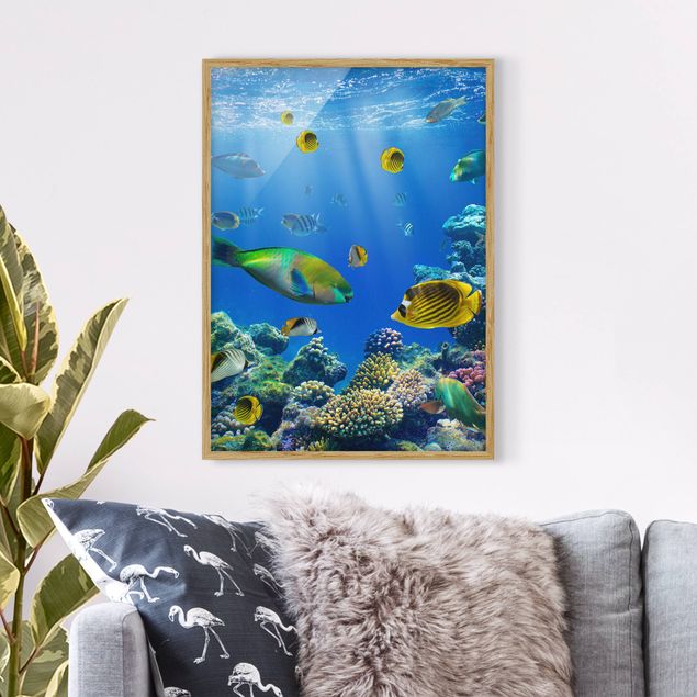 Ryby obrazy Światła podwodne