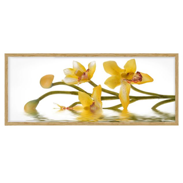 Obrazy w ramie do łazienki Saffron Orchid Waters