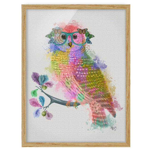 Obrazy nowoczesny Rainbow Splash Owl