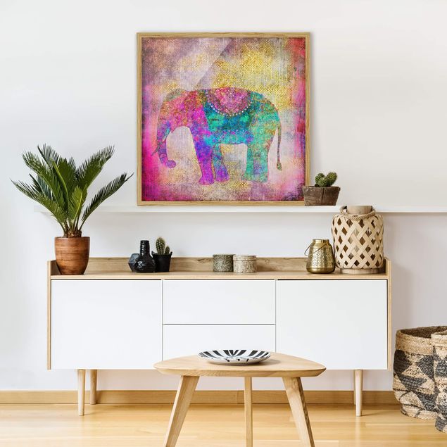 Słoń obraz Kolorowy kolaż - Słoń indyjski