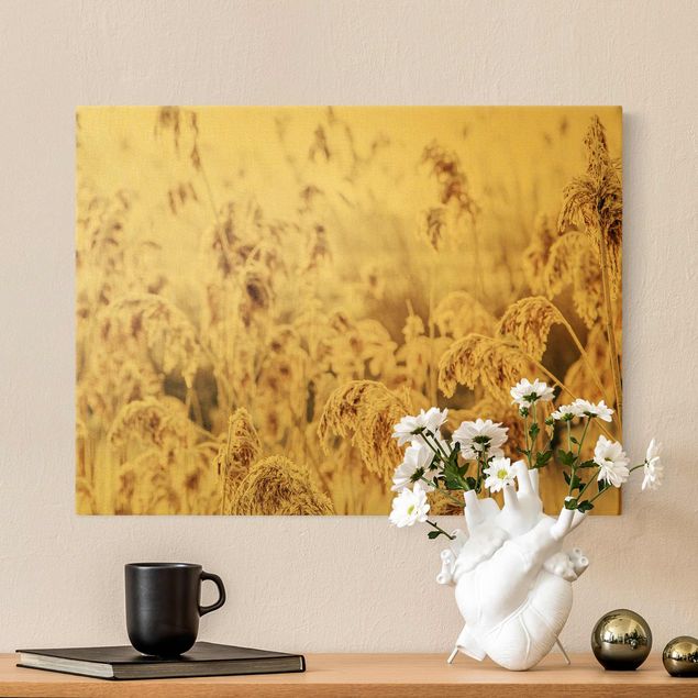Obrazy z motywem kwiatowym Morze słonecznej trzciny