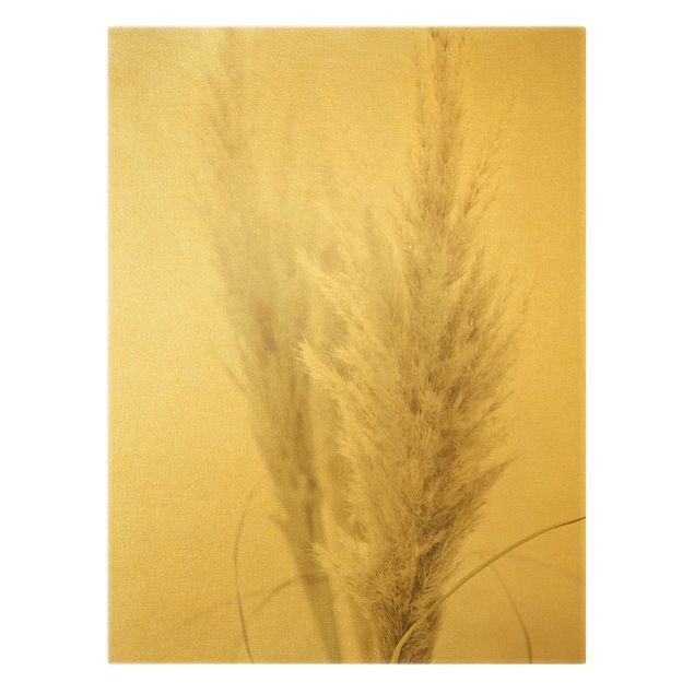 Obrazy na ścianę Puszysta trawa pampasowa