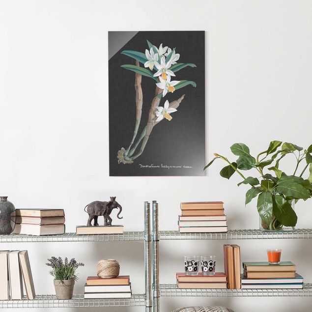 Obrazy na szkle orchidea Biała orchidea na lnie I