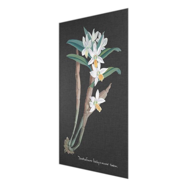 Retro obrazy Biała orchidea na lnie I