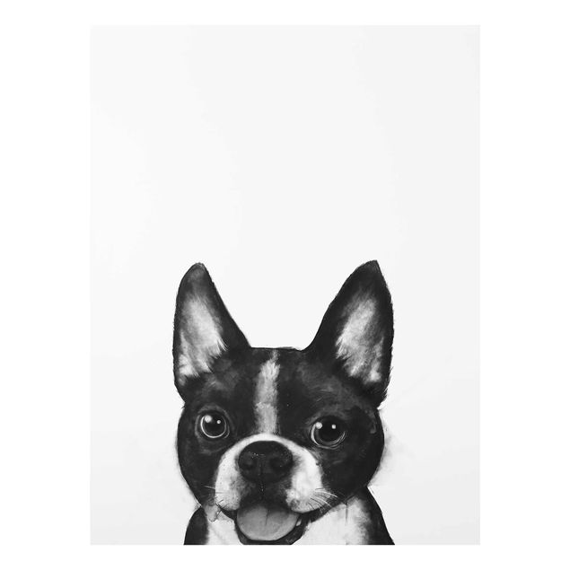 Obrazy na szkle zwierzęta Ilustracja pies Boston czarno-biały Painting