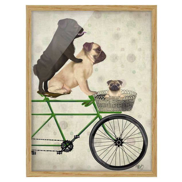 Obrazy w ramie do kuchni Wycieczka rowerowa - Pugs on Bikes