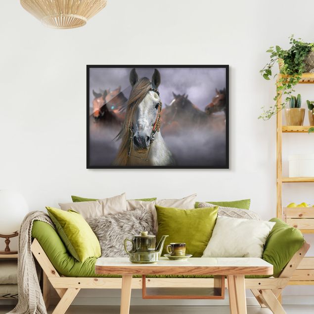 Obrazy w ramie do korytarzu Konie w kurzu