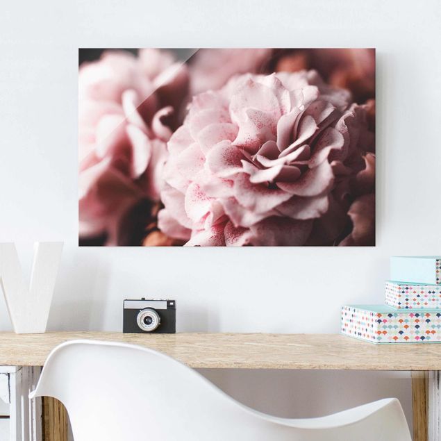 Obrazy kwiatowe Pastelowa róża Shabby Pink