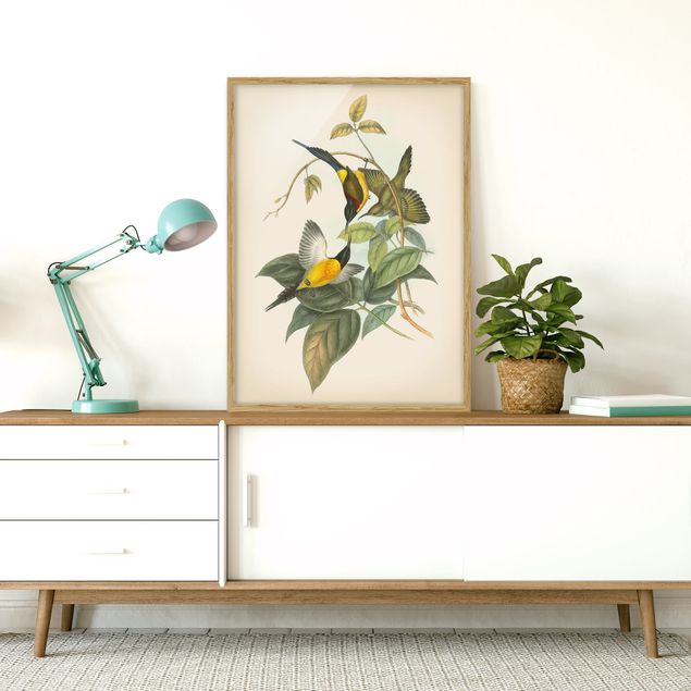 Obrazy w ramie do łazienki Ilustracja w stylu vintage Ptaki tropikalne IV