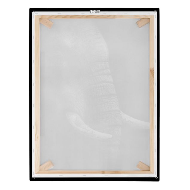 Obrazy afryka Portret ciemnego słonia